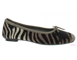 Hello zebra grege